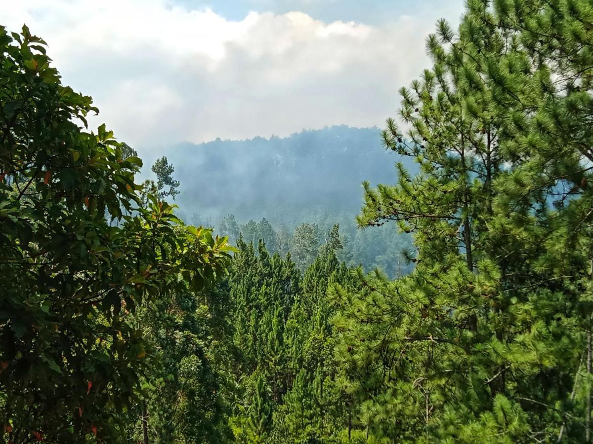New Rose Villa Bandarawela Елла Екстер'єр фото