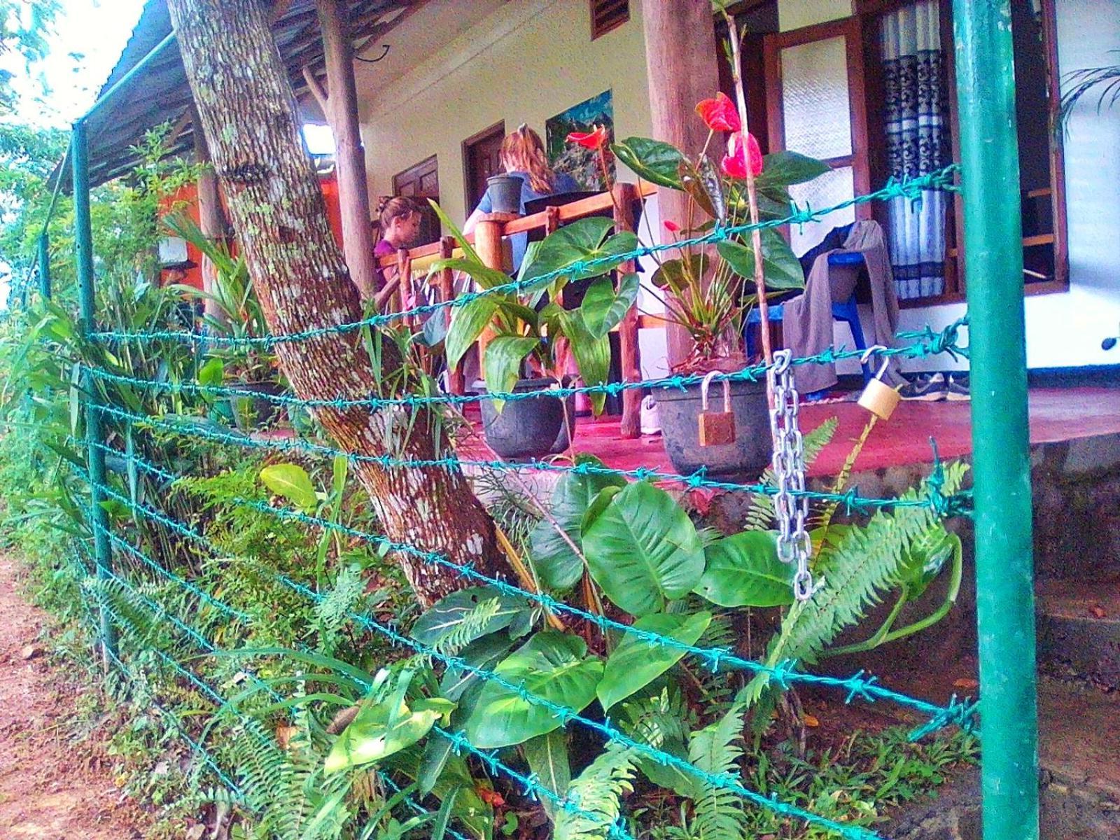 New Rose Villa Bandarawela Елла Екстер'єр фото