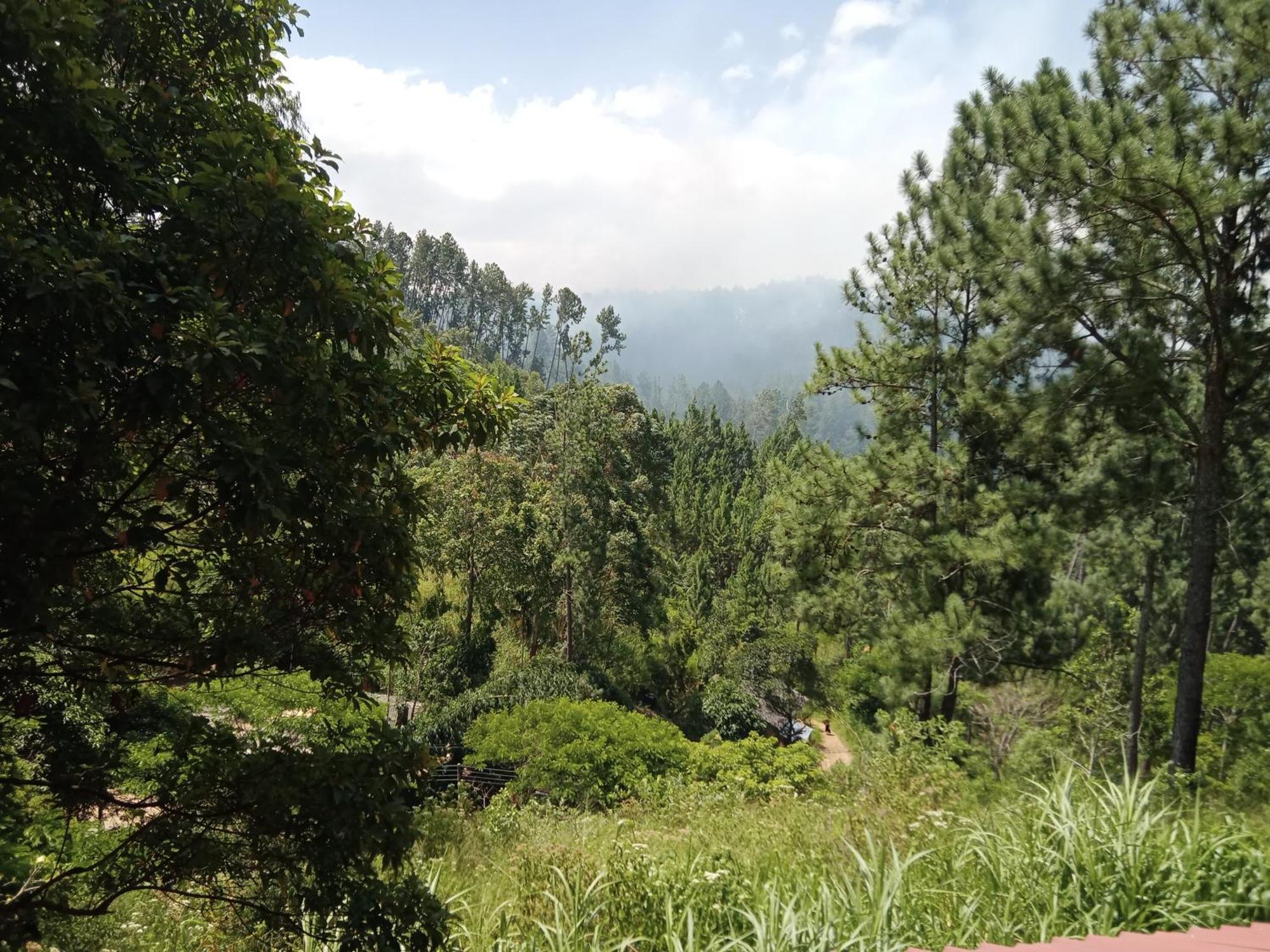 New Rose Villa Bandarawela Елла Екстер'єр фото