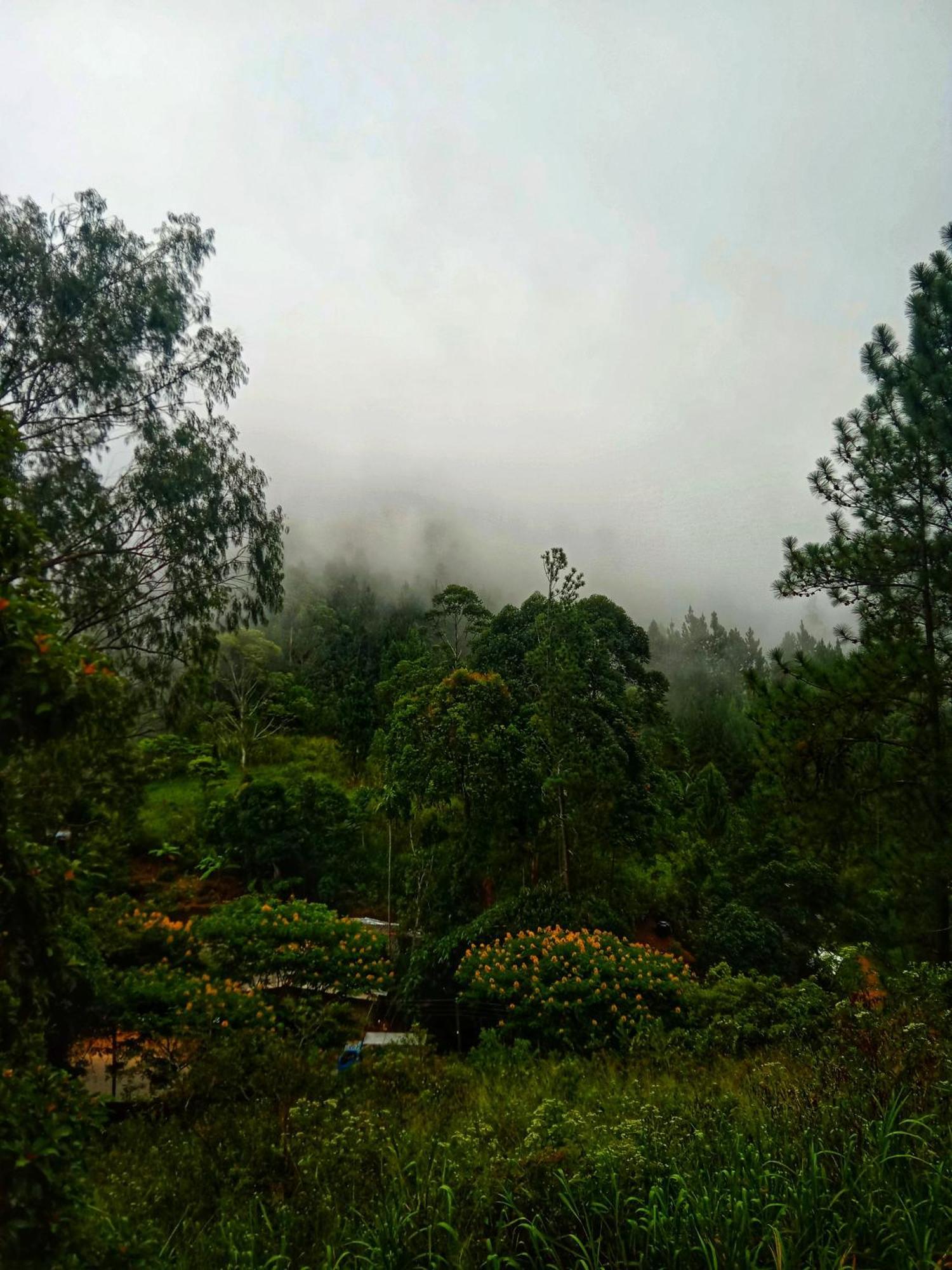 New Rose Villa Bandarawela Елла Екстер'єр фото