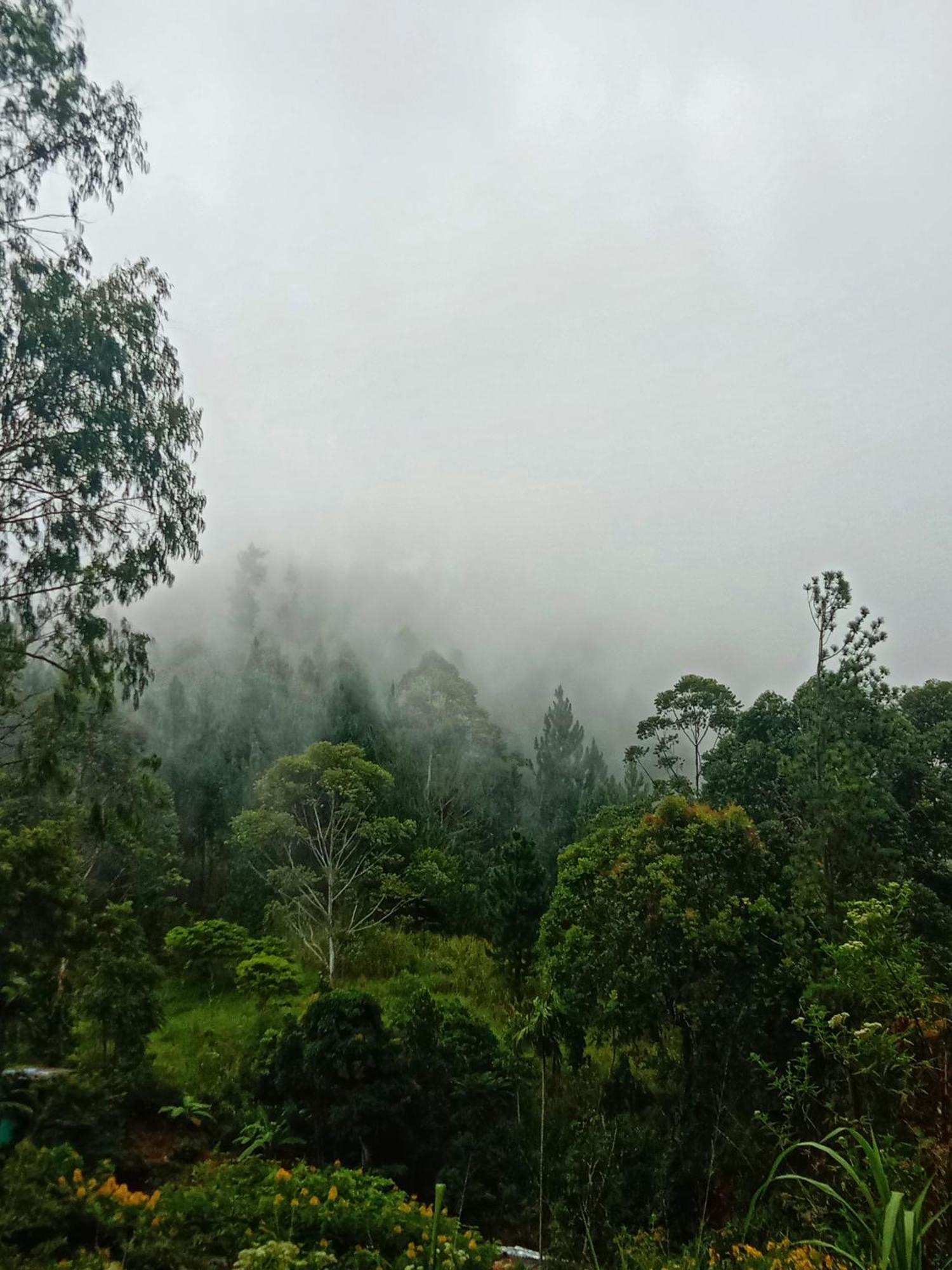 New Rose Villa Bandarawela Елла Екстер'єр фото