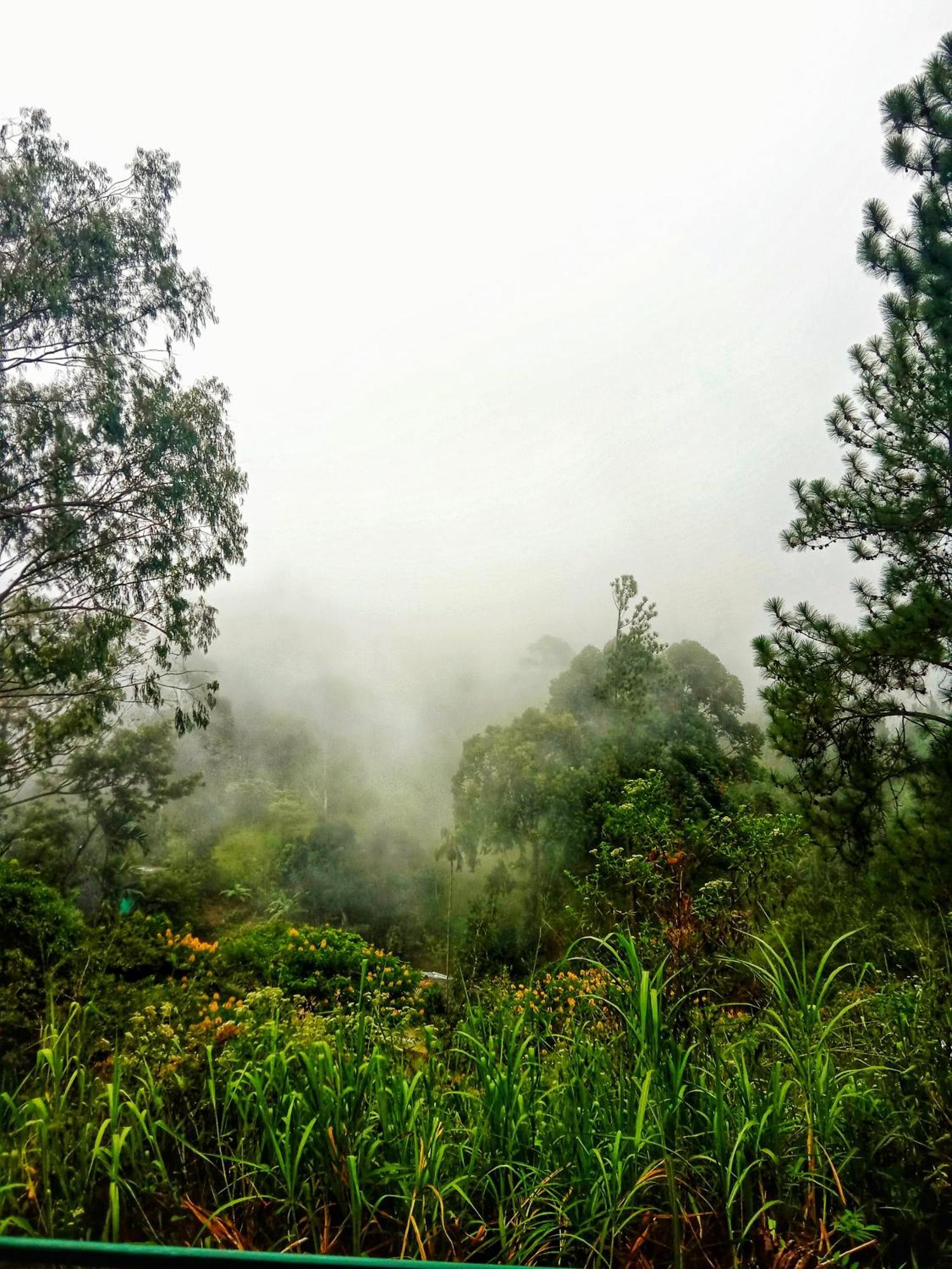 New Rose Villa Bandarawela Елла Екстер'єр фото