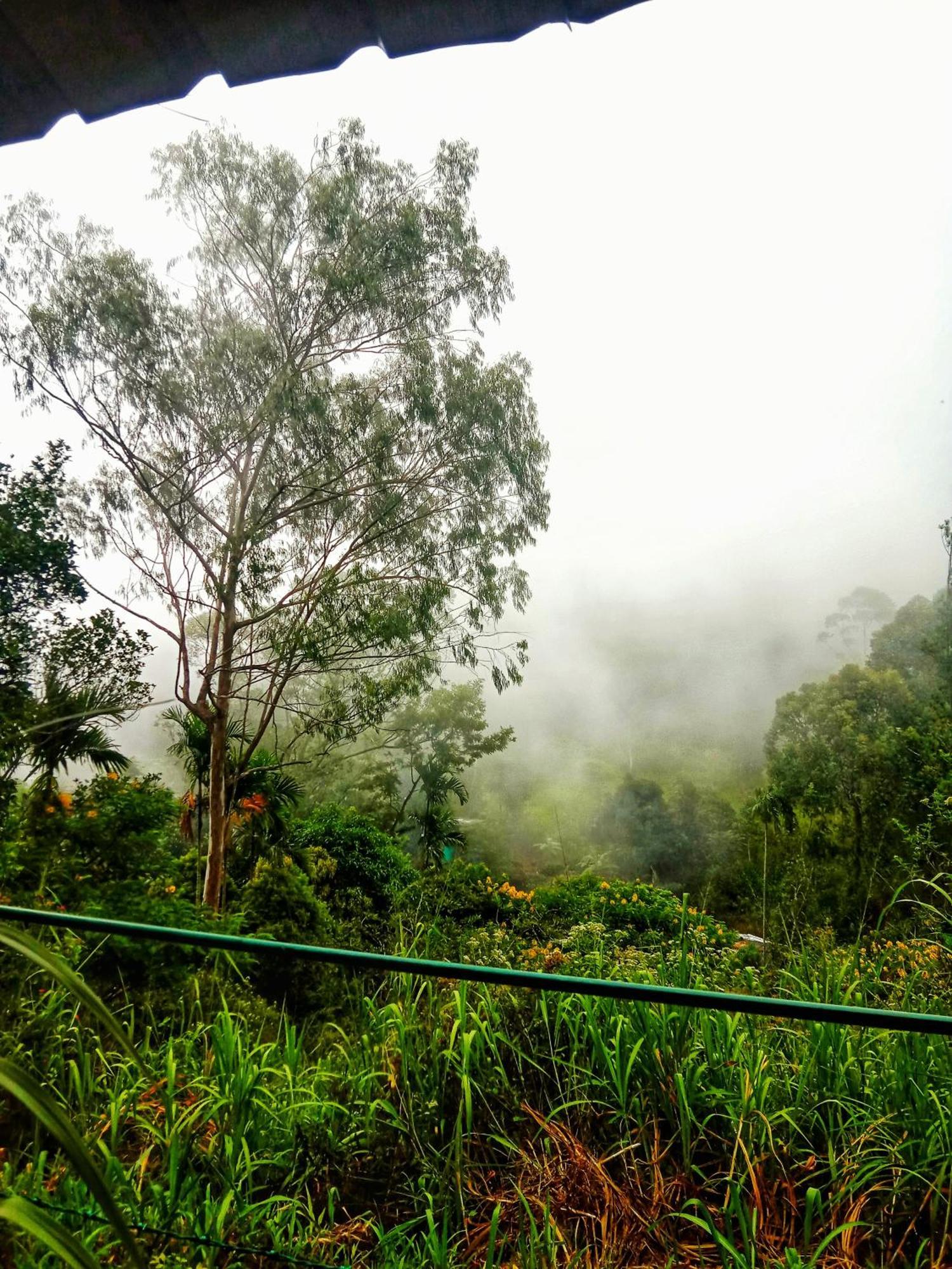 New Rose Villa Bandarawela Елла Екстер'єр фото