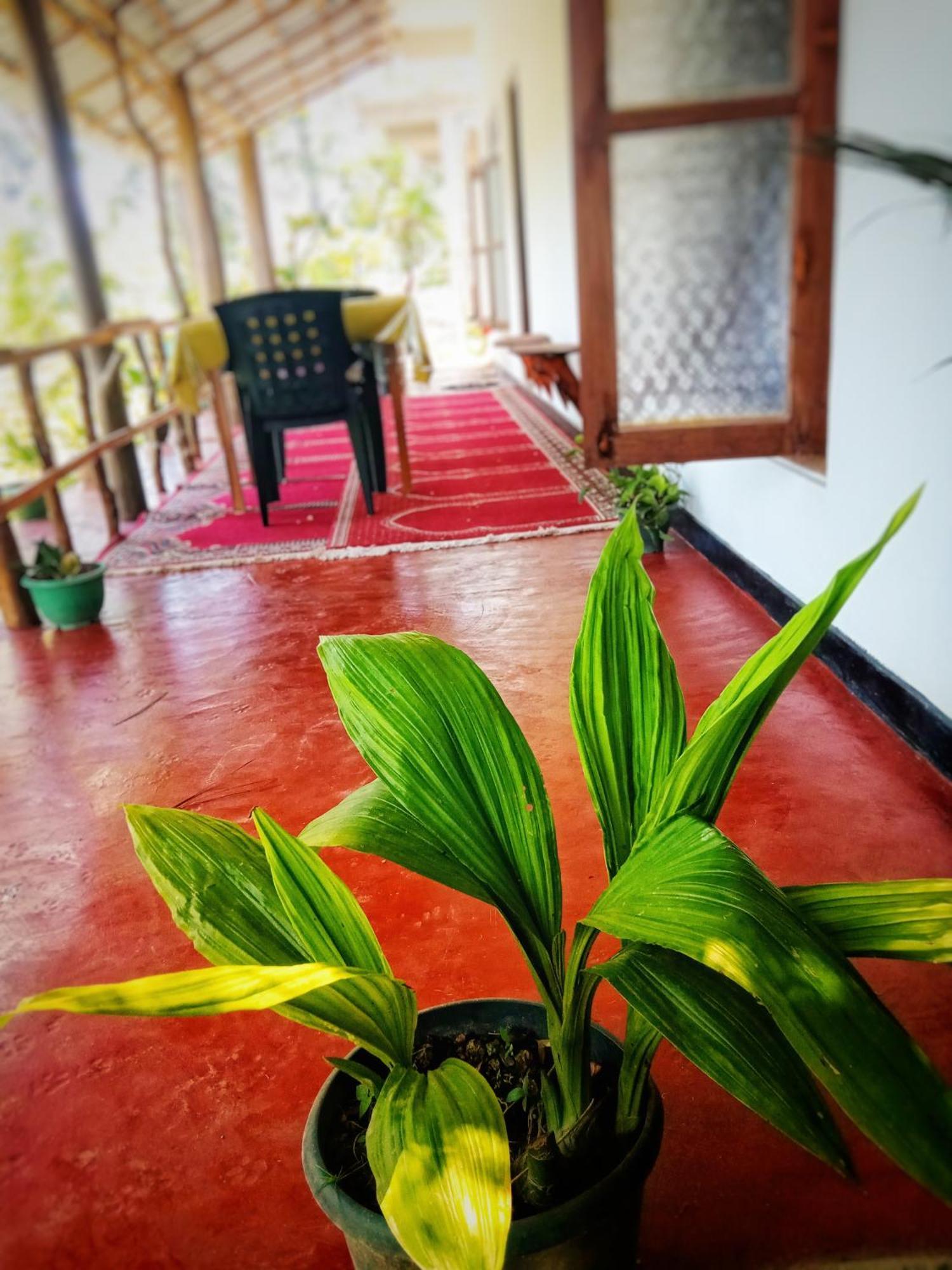 New Rose Villa Bandarawela Елла Екстер'єр фото