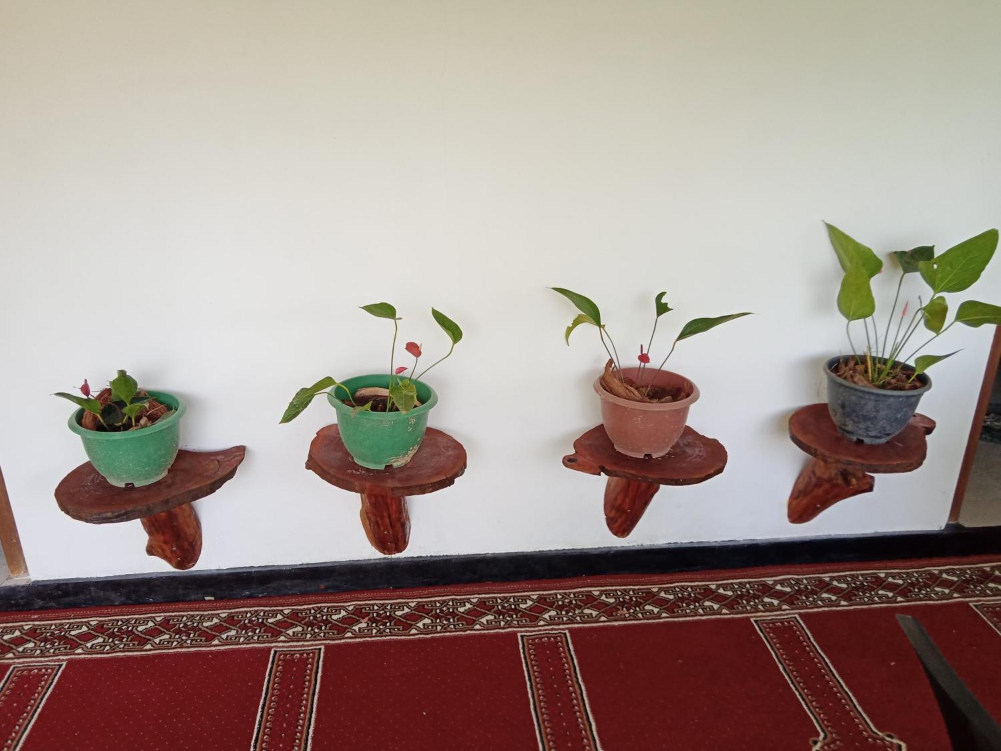 New Rose Villa Bandarawela Елла Екстер'єр фото