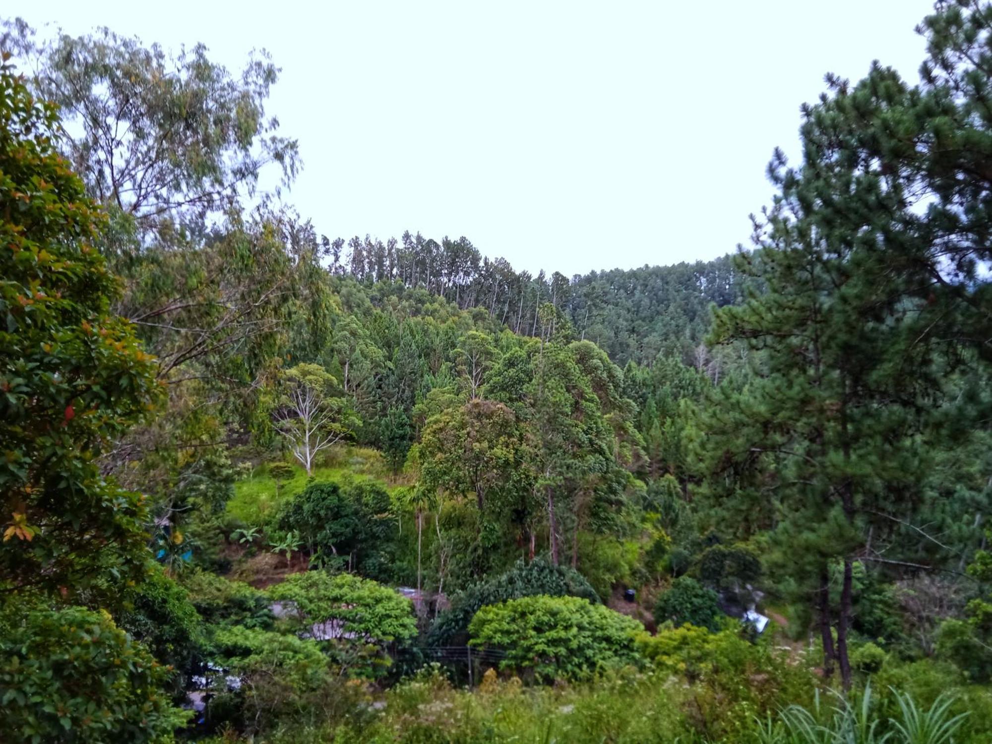 New Rose Villa Bandarawela Елла Екстер'єр фото
