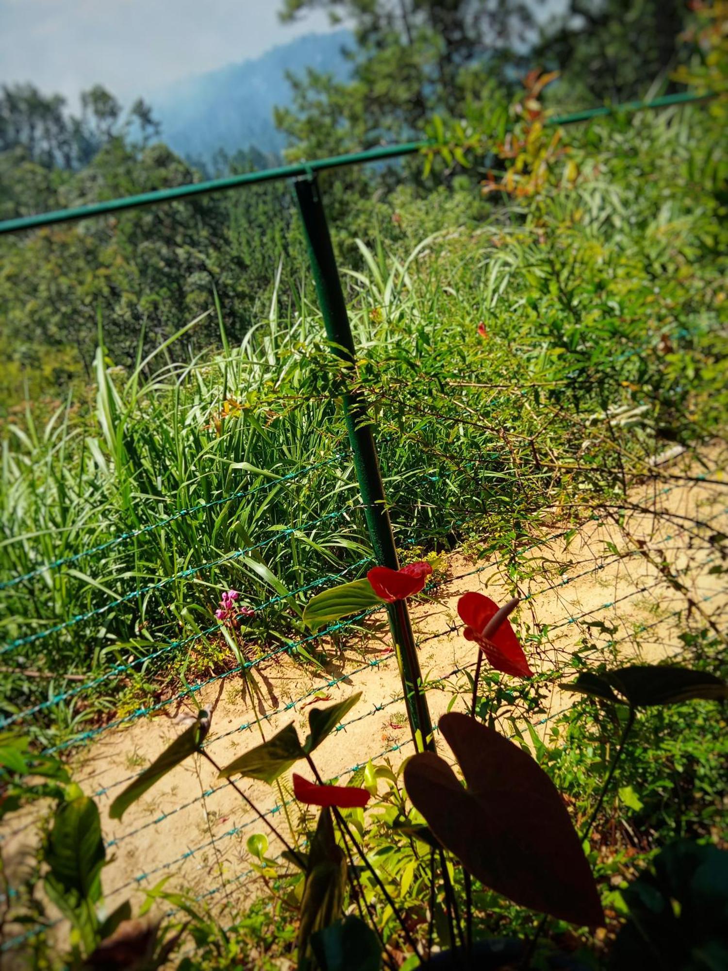 New Rose Villa Bandarawela Елла Екстер'єр фото